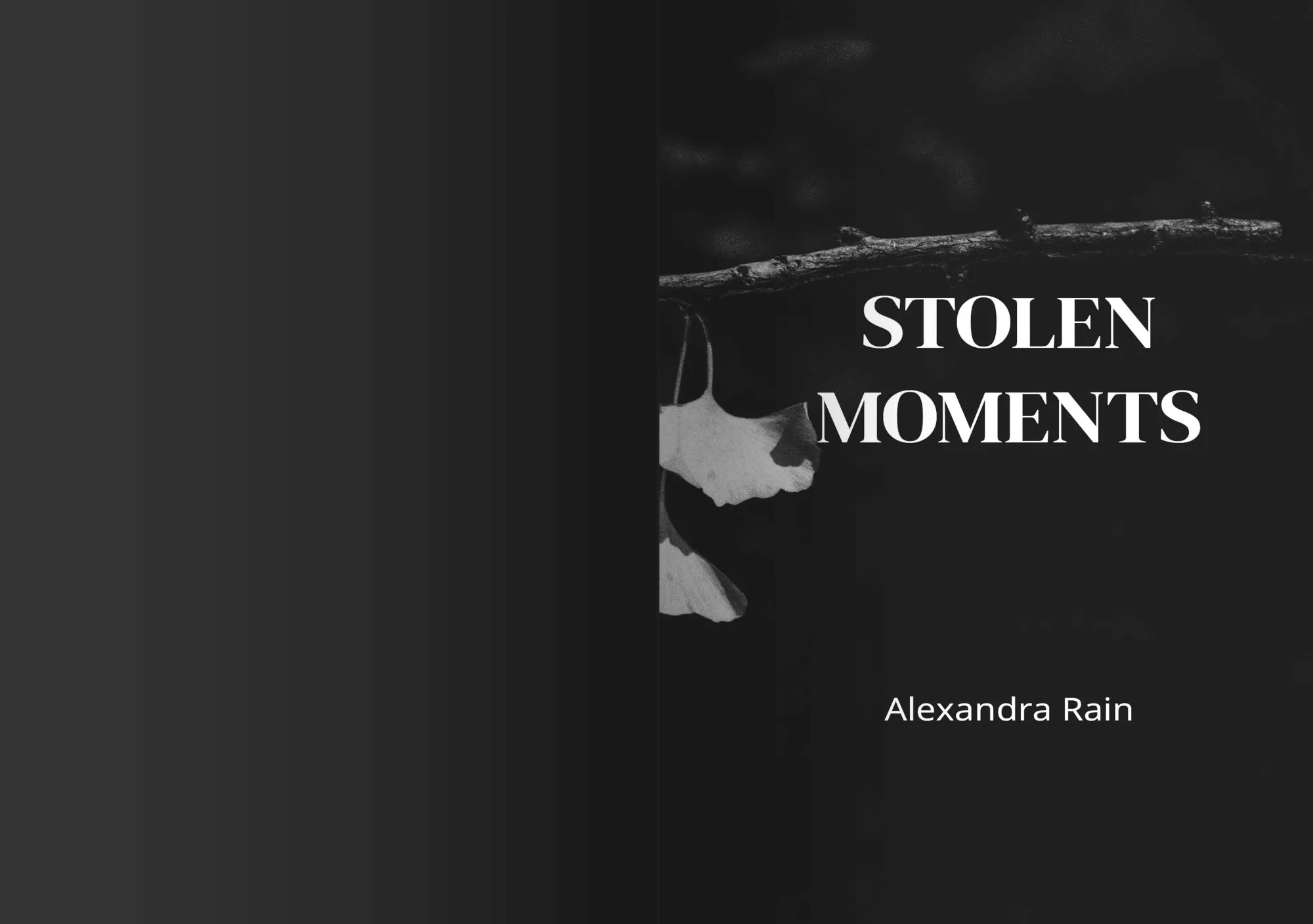 Stolen Moment Image